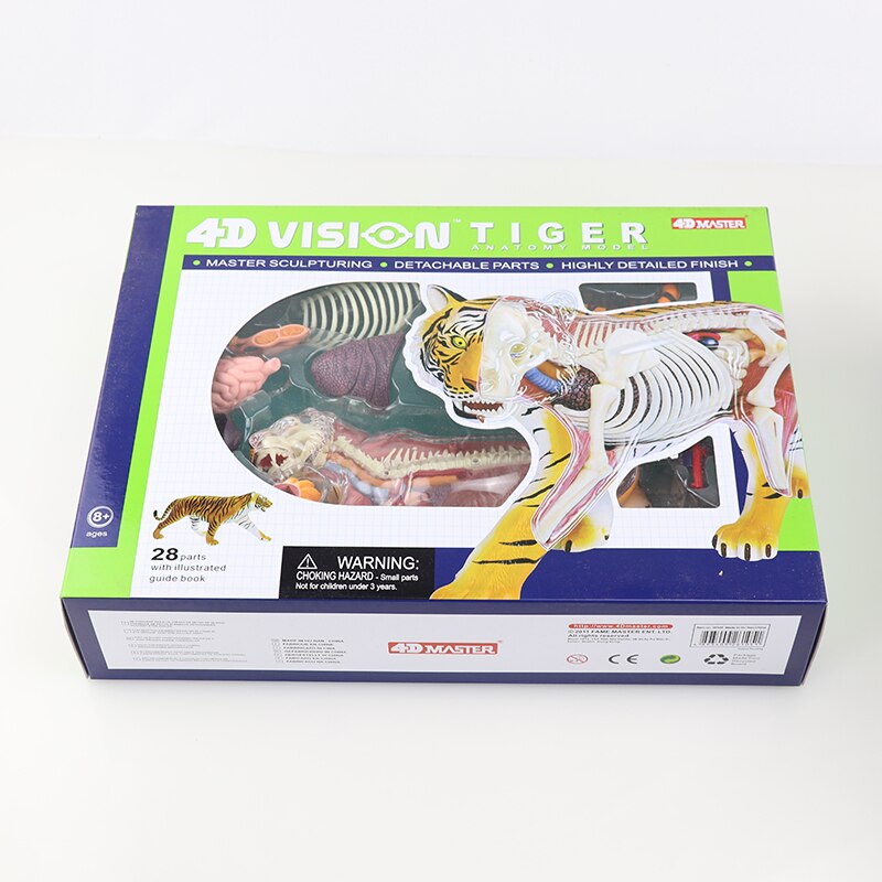 Simulatie dier pop 4d meester puzzel assemblage speelgoed wezen gevogelte kat hond paard varken haai walvis orgaan anatomie: Tijger