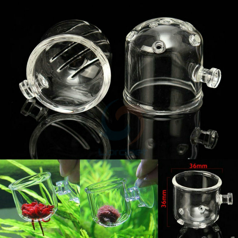 Aquarium Tank Glas Vis Voeden Feeder Worm Bloed Feeder Slak Trap Planarian Bloedzuiger Catch