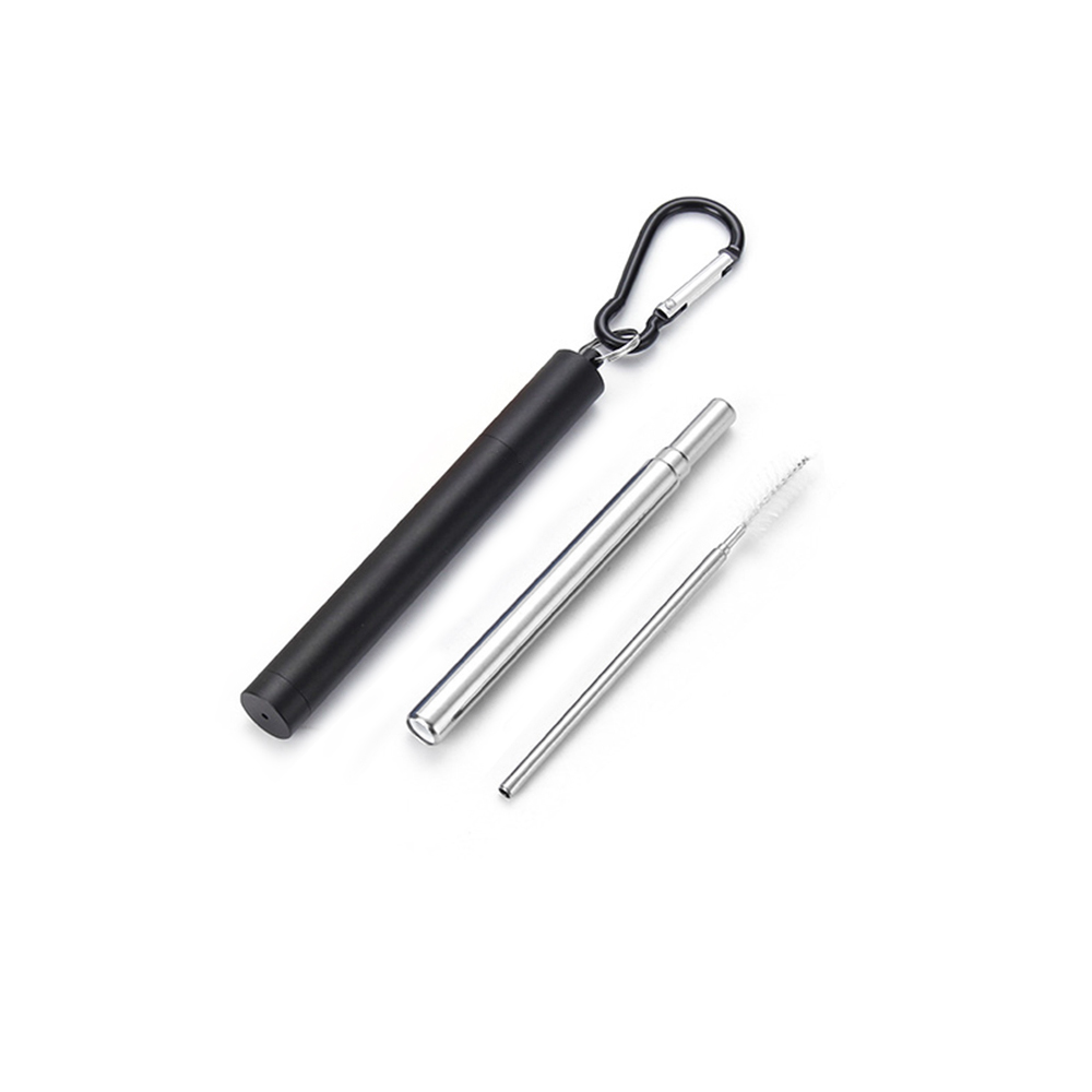 Roestvrij Staal Vouwen Stro Telescopische Rietje Pen Shaped Case Carabiner Herbruikbare Metalen Stro Reizen Picknick Drinkware: Black