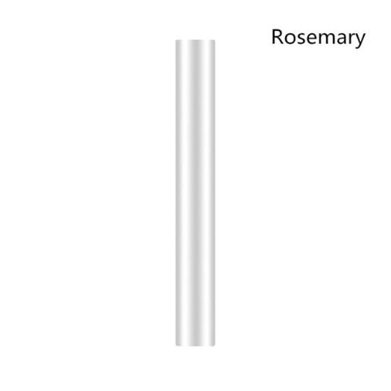 Voiture évent désodorisant parfum diffuseur remplissage solide parfum bâton voiture purificateur d'air voiture oxygène barre ioniseur voiture style: Rosemary