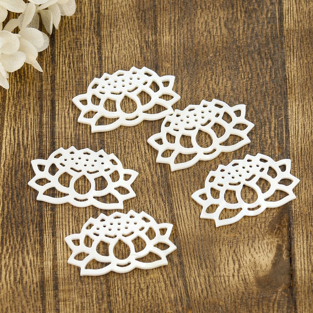 Matériel naturel Type Lotus Wisp vide coquille d&#39;eau douce bijoux artisanat bricolage boucles d&#39;oreilles accessoires de collier 5 pièces