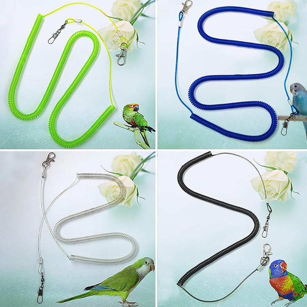 Laisse pour oiseaux, type d&#39;extension, pour entraînement en vol, sangles en corde, perruches, fournitures pour perroquets