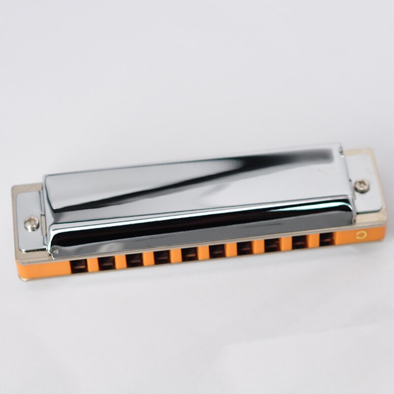 Ten Hole Blues Harmonica 10 Hole Paddy Harmonica Beginner Adult Performance Level
