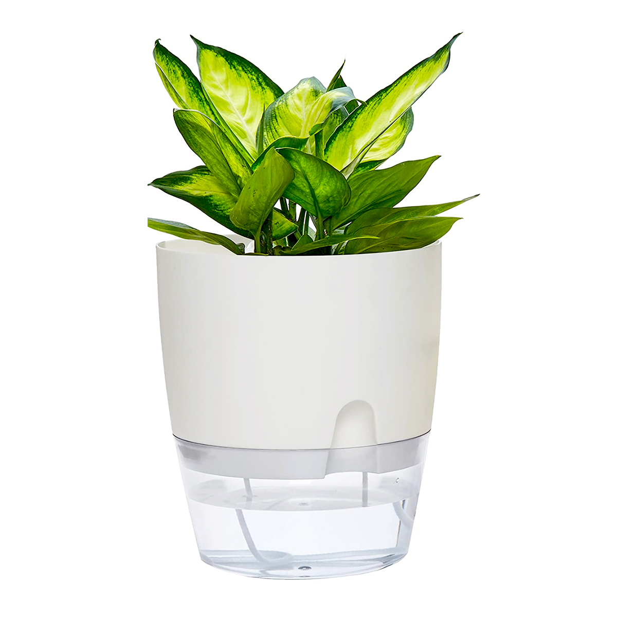 2 Layer Watering Planter Lazy Self Watering Pot Automatic Succulent Container for Flower Plant Indoor Supplies White Gray: white 23.5cm