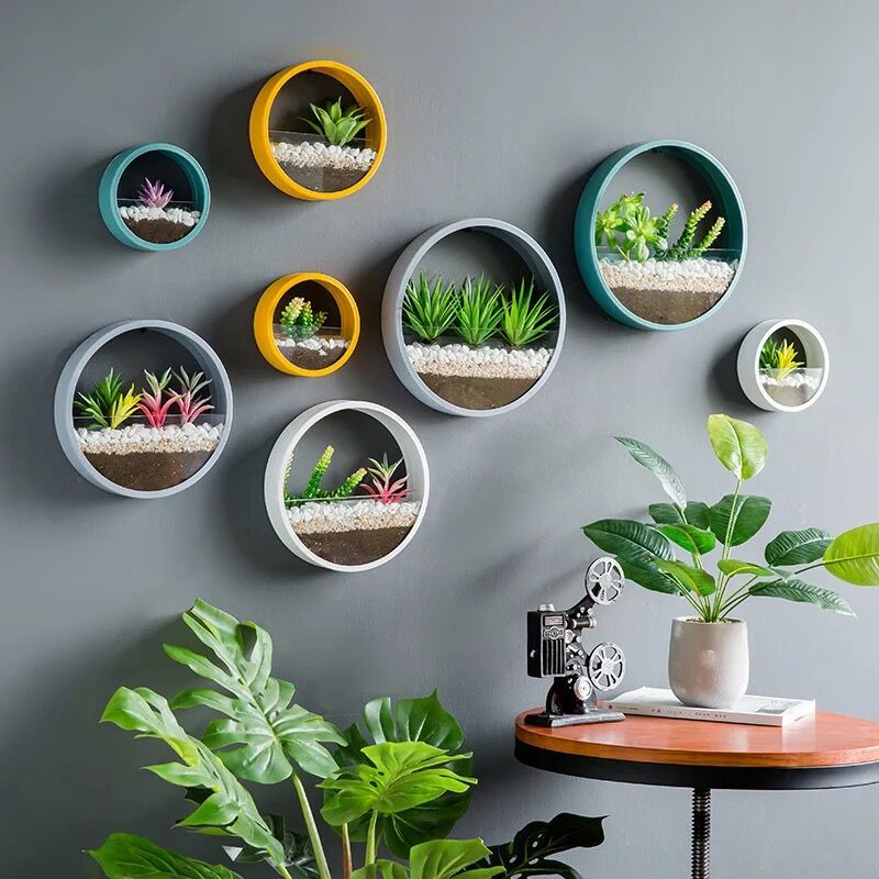 Pot planteur rond mural suspendu | Vase porte-plantes décoratif pour la maison, idéal pour les Cactus succulents, les plantes à Air, etc