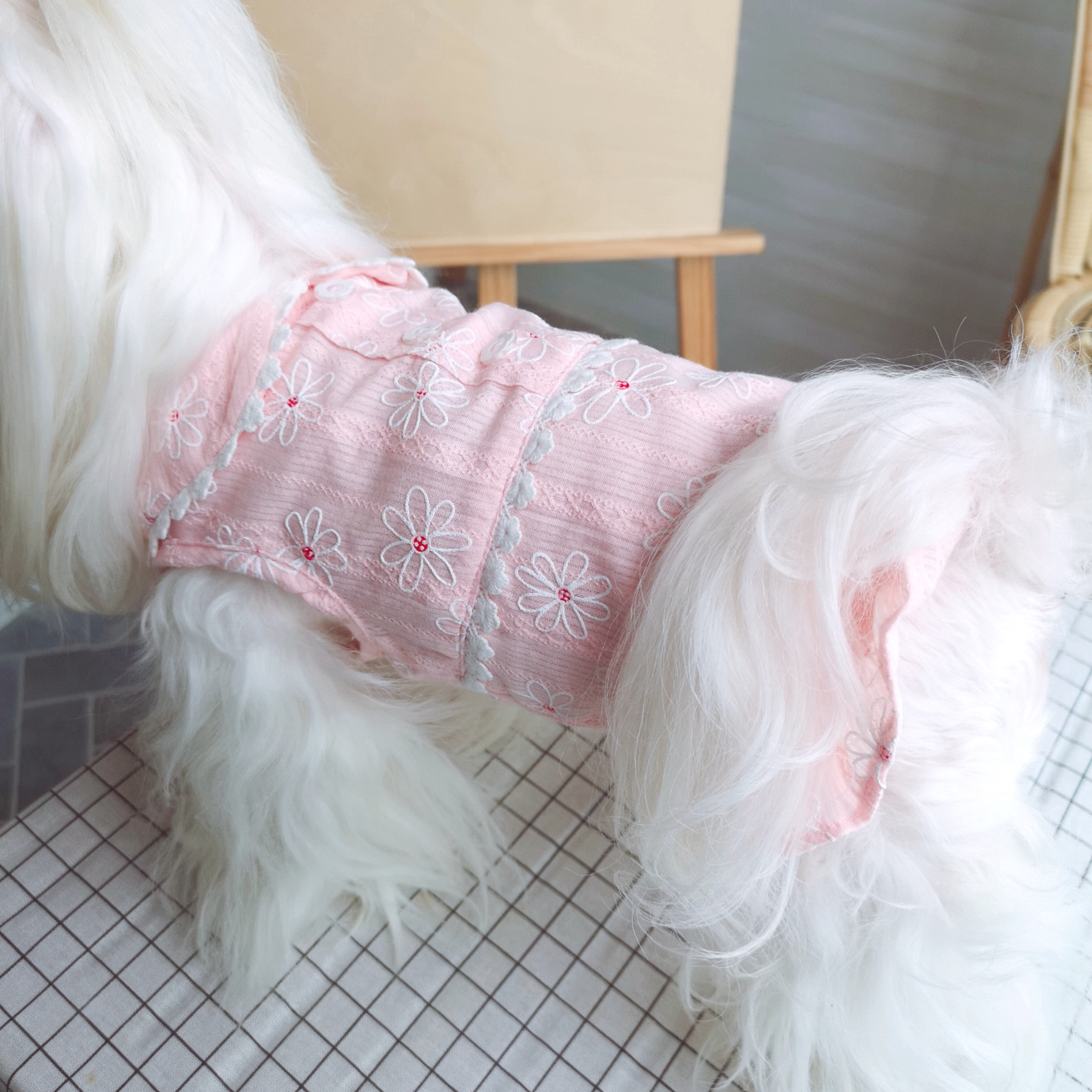 Vestido de verano para mascotas, ropa para perros y gatos, falda, Yorkie, Yorkshire, caniche, bichón, Pomeranian, Schnauzer