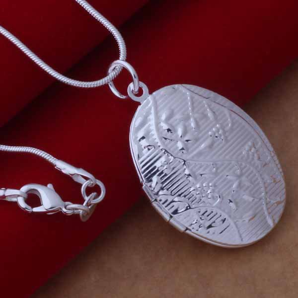 Verzilverd Mode-sieraden Kettingen Ketting Hanger WN-742