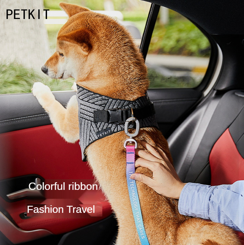 Petkit Kleurrijke Pet Autogordel Kleine-Grote Hond Auto Veiligheid Harness Sterke En Duurzaam Hond Levert Hond Accessoires