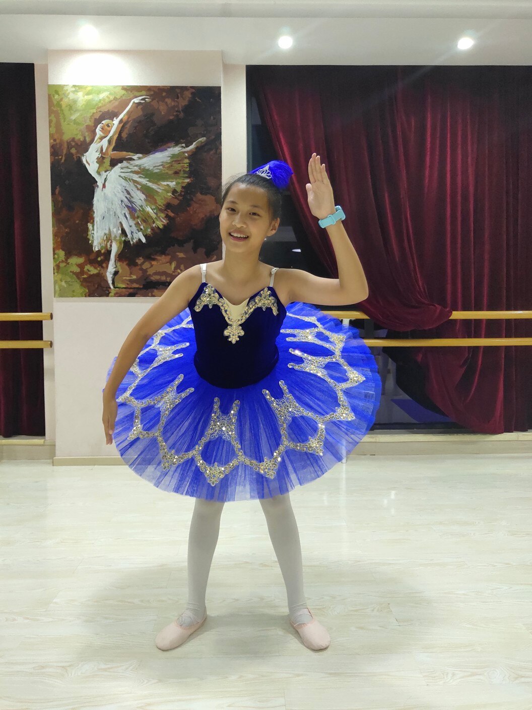 Blue White Swan Children Ballet Dance Costume Adult Tutu Princess Dress Paltter Ballet Tutu For Girls Kids Women
