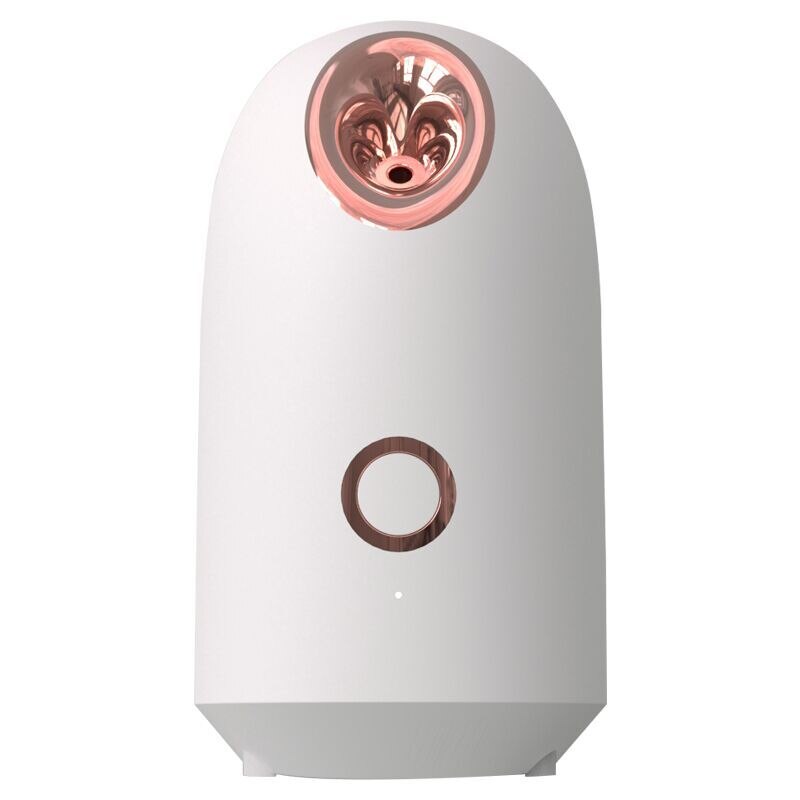and cold steaming face moisturizer facial cold spray moisturizing spray beauty instrument jet steaming face device