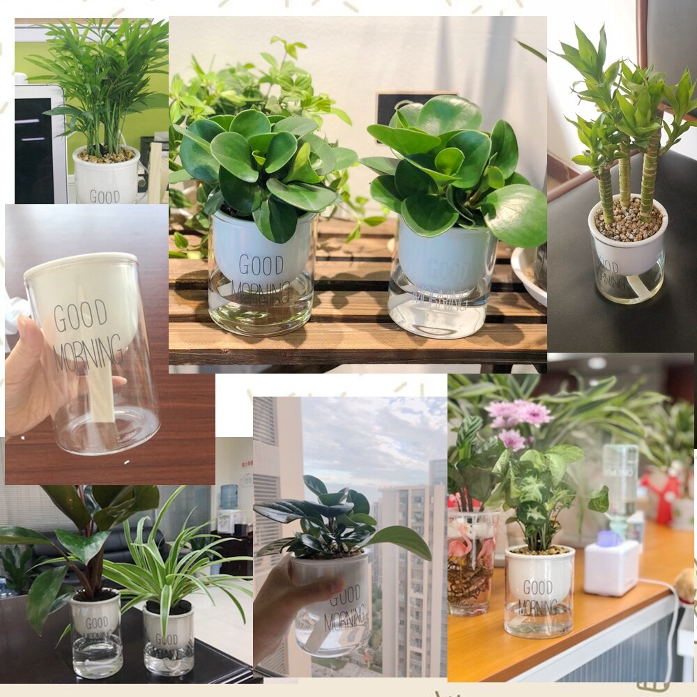 Automatische Selbst Bewässerung Pflanzen Topf Keramik Glas Doppel Pflanzer Topf Garten Auto Bewässern Töpfe Kreative Hause Dekoration Artikel