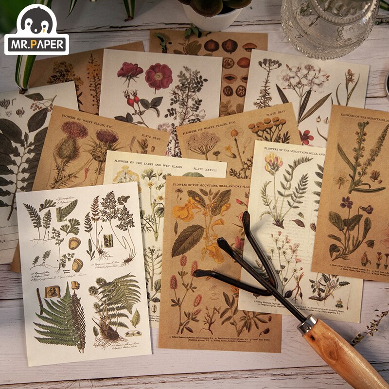 Mr.Paper 30pcs/pack 8 Designs Plant Material Paper Diary Scrapbooking Diary Planner Decorative DIY Craft Paper Stationery