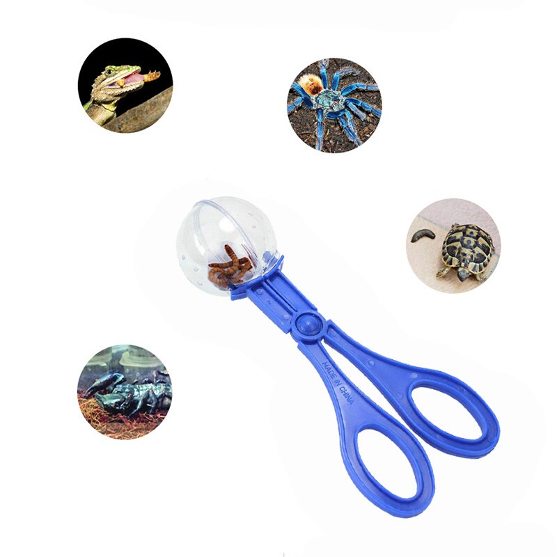 Práctico terrario para reptiles YHYS, herramienta de limpieza para eliminar excrementos de peces y Peceras, para escarabajos Lagarto