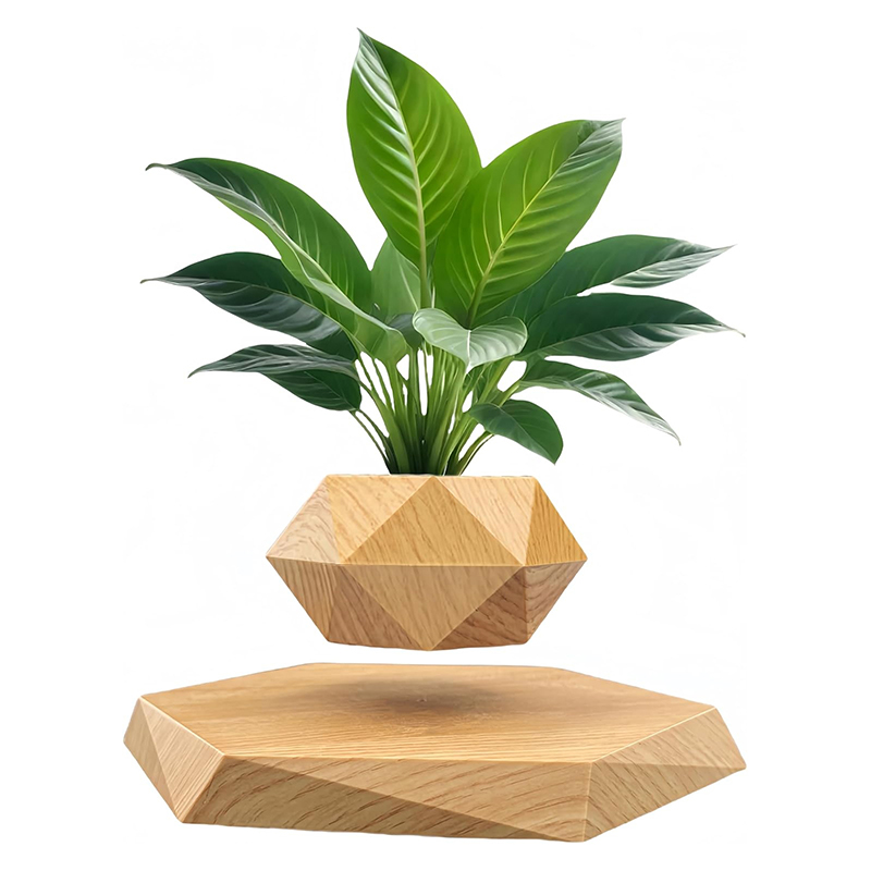 Zwevende lucht bonsaipot rotatie bloempot plantenbakken magnetische ophanging drijvende pot potplanten huis zonder planten: Bordeaux