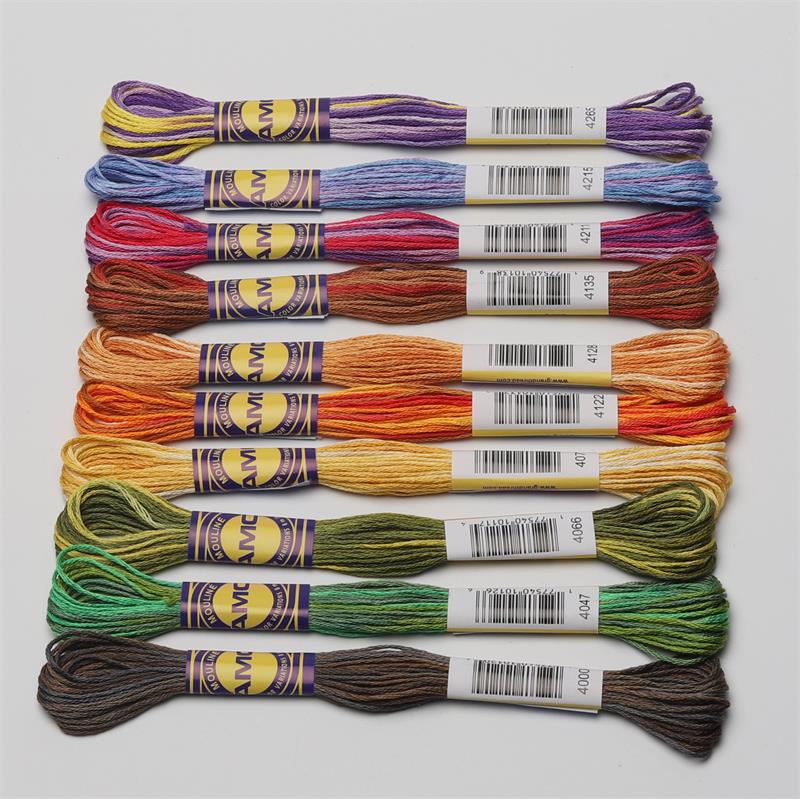 4th Variegated Cotton Embroidery Floss 6 strands 8 meters per skein Color Variation Cross stitch Thread 30 DMC Colors: Autumn Forest