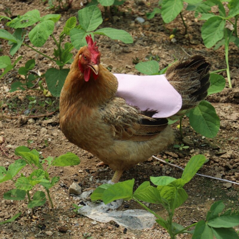 Delantal de montura de gallina y pollo, Color sólido, doble chaqueta ajustable, ropa para mascotas, chaleco, Protector trasero de plumas, suministros para mascotas, 5 uds