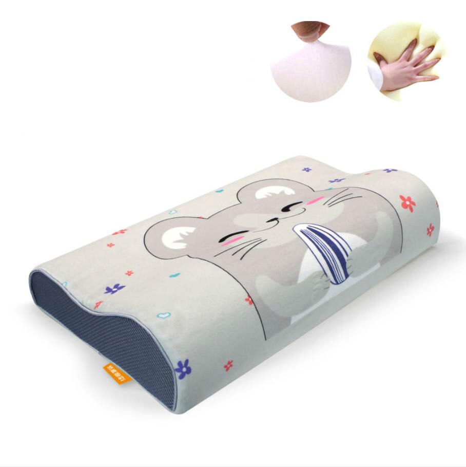 Memory Foam Bed Orthopedisch Kussen Voor Nekpijn Slapen Gezondheid Met Geborduurde Fijne Fluwelen Kussensloop Thuis 60*30Cm top F0436