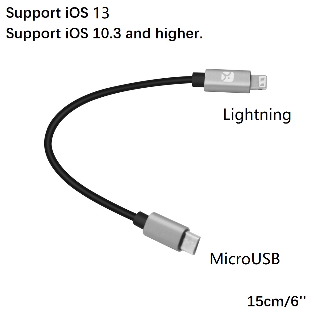 Lightning Male Naar Type-C Vrouwelijke Otg Adapter Voor Iphone 11 Pro Max,Xs Max,Xr, ipad Air, Ipod Ondersteuning USB-C Digitale Hoofdtelefoon Dac: Gray L2M Male 15cm