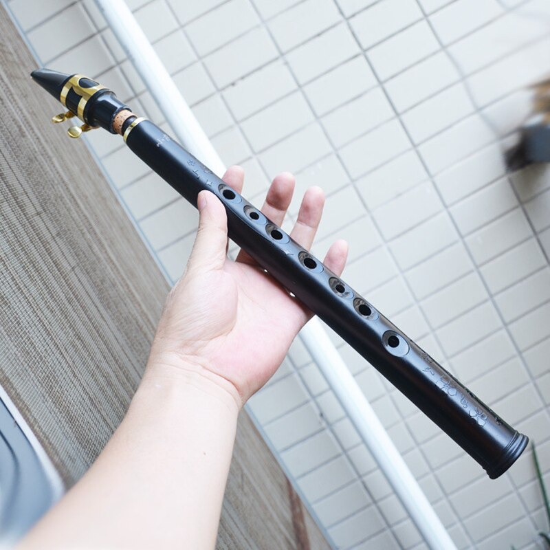 SevenAngel Mini Pocket Bb Saxophone Sax ABS with Alto Mouthpieces 4pcs Reed Carrying Bag Woodwind Musical Instrument