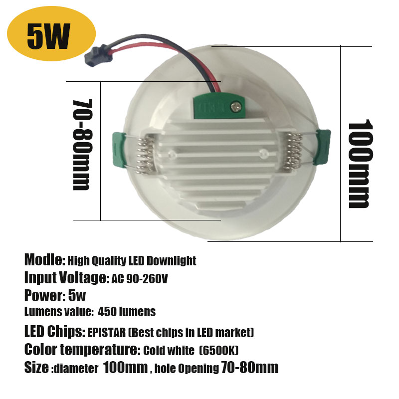 Spot Led Downlight 18W 15W 12W 9W 5W Ronde Verzonken Neer Licht Led Spot Verlichting AC90-260V Slaapkamer Keuken Indoor Koud Wit: LED Downlight 5W / cold white