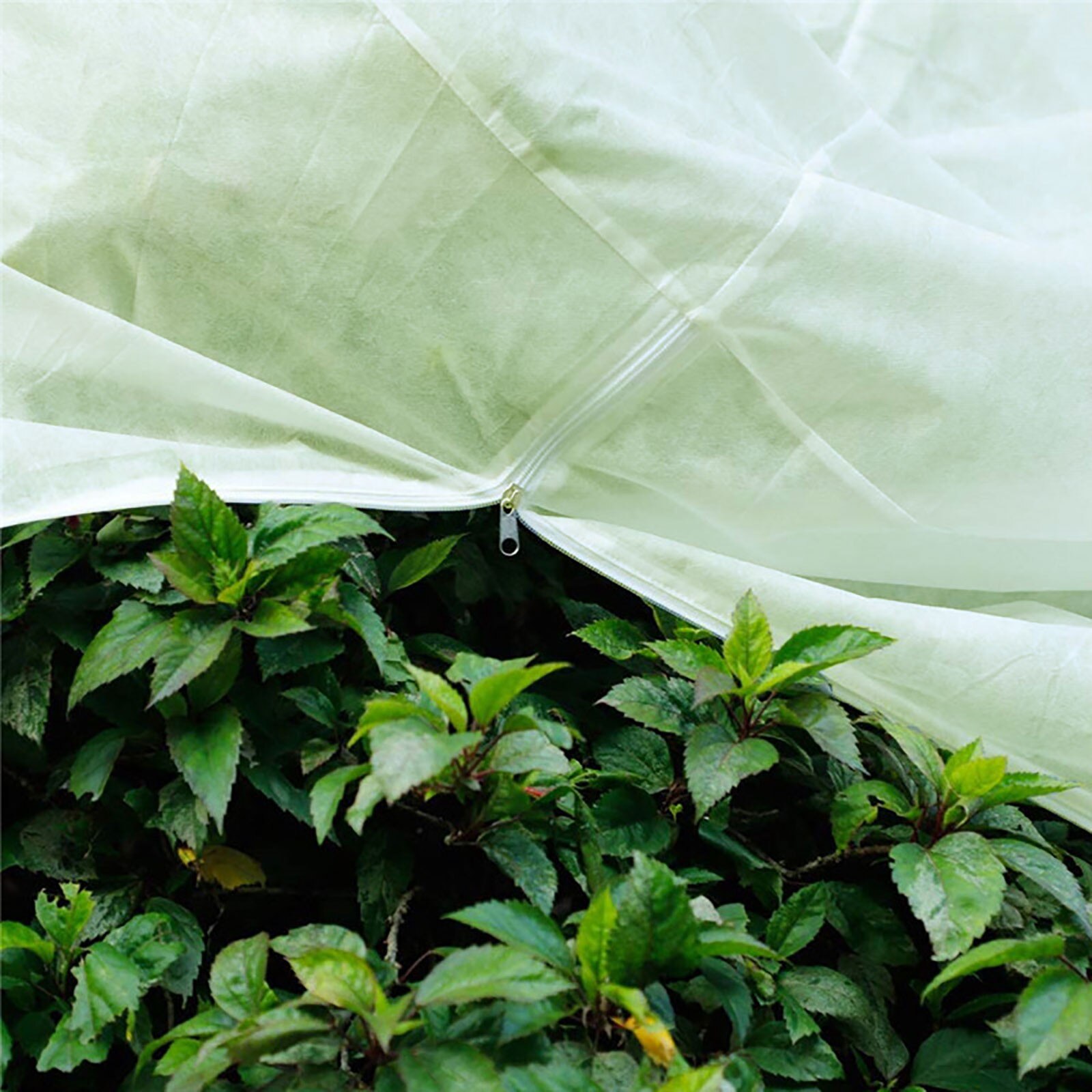 Antifreeze Shields Protect Your Plants Protect Plants From Cold Winter Plant Freeze Cover Gardening Supplies Tools