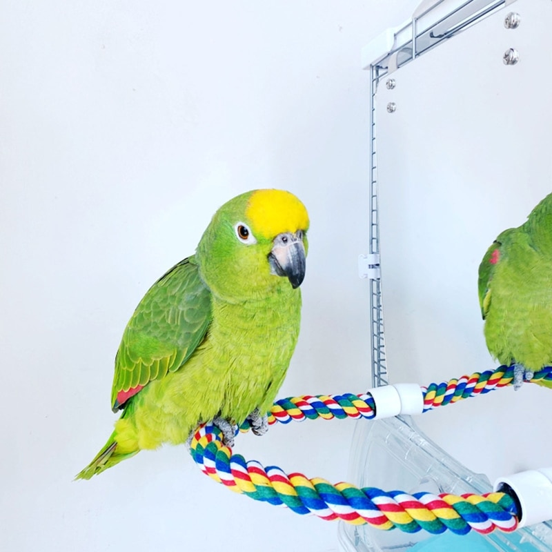 Acryl Vogel Spiegel Met Touw Zitstokken Vogel Speelgoed Schommel Comfy Baars Voor Parkiet