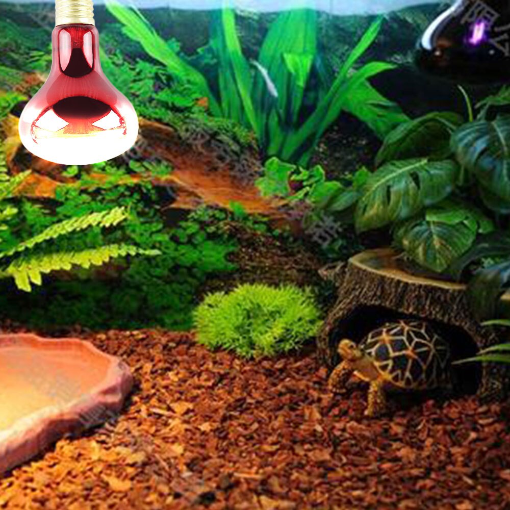 100w infravermelho basking ponto lâmpada de aquecimento bulbo luz vermelha lâmpadas de calor para animais estimação frango tartarugas anfíbios