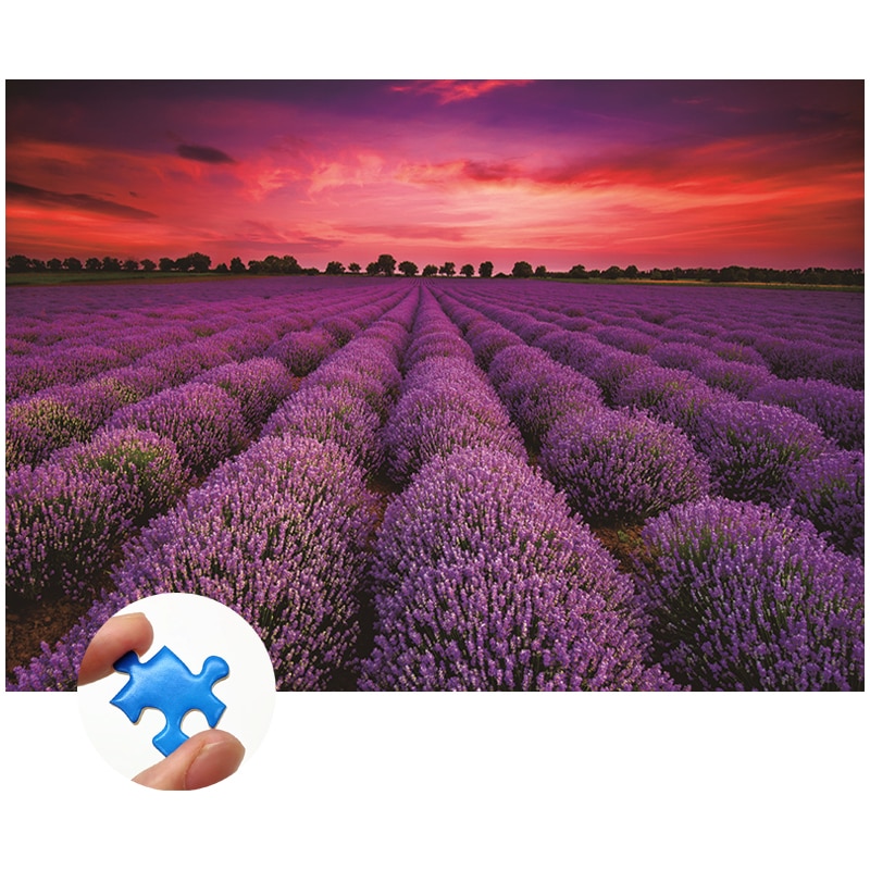 Pussel 1000 bitar papper utbildning leksaker-unika frankrike provence lavendelfält sommar solnedgång landskap