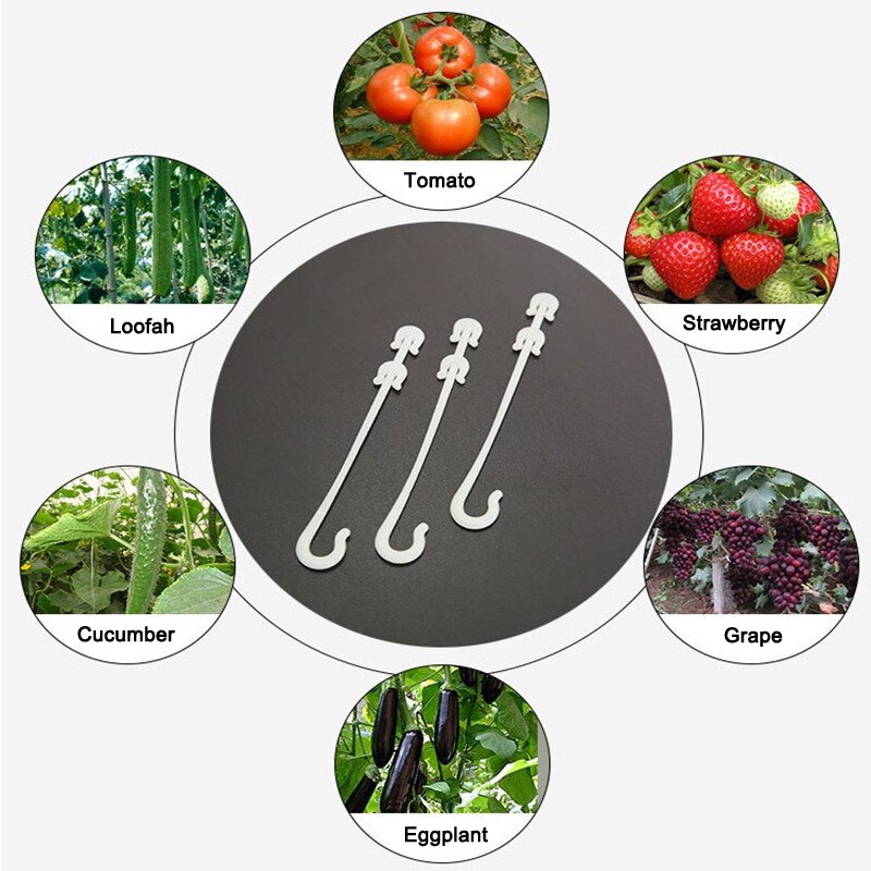 100 Stuks Fruit Cherry Tomaat Oorhaak Tuin J Vormige Wijnstokken Trellis Ondersteuning Gesp Haak Groente Plant Druif Clips Haken