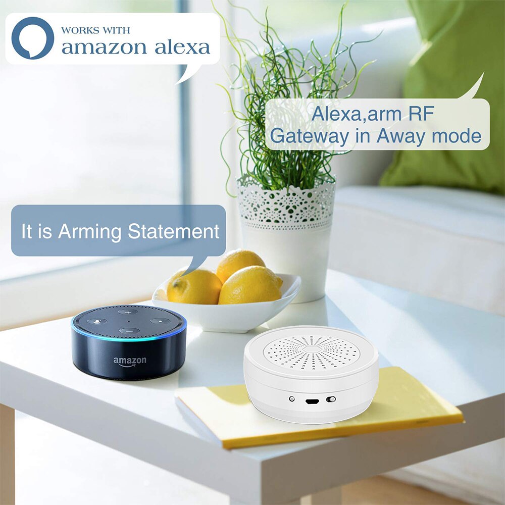 DPK4 Tuya Smart Home Alarm System Door Sensor PIR Doorbell SOS Alexa Google Voice Command Arm/Disarm system with Security Code
