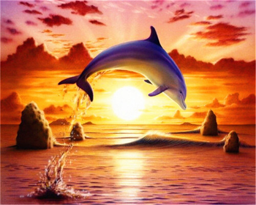 AZQSD Draw By Number On Canvas Dolphin Sunset DIY Pictures Oil Painting By Numbers Animal Home Decor HandPainted: SZGD1-4728
