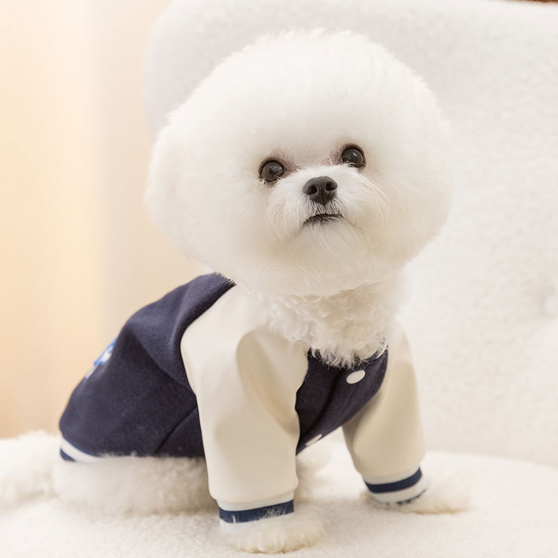 Vestes de Baseball pour animaux de compagnie, motif planète, vêtements pour chiens, petit et moyen chat, manteau Teddy, chiot, vêtements de printemps, sweat à capuche pour animaux de compagnie
