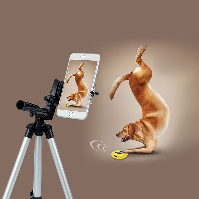 Professionele Camera Statief Houder + Tas Voor Iphone Samsung Mobiele Telefoon Voor Digitale Camera Statieven