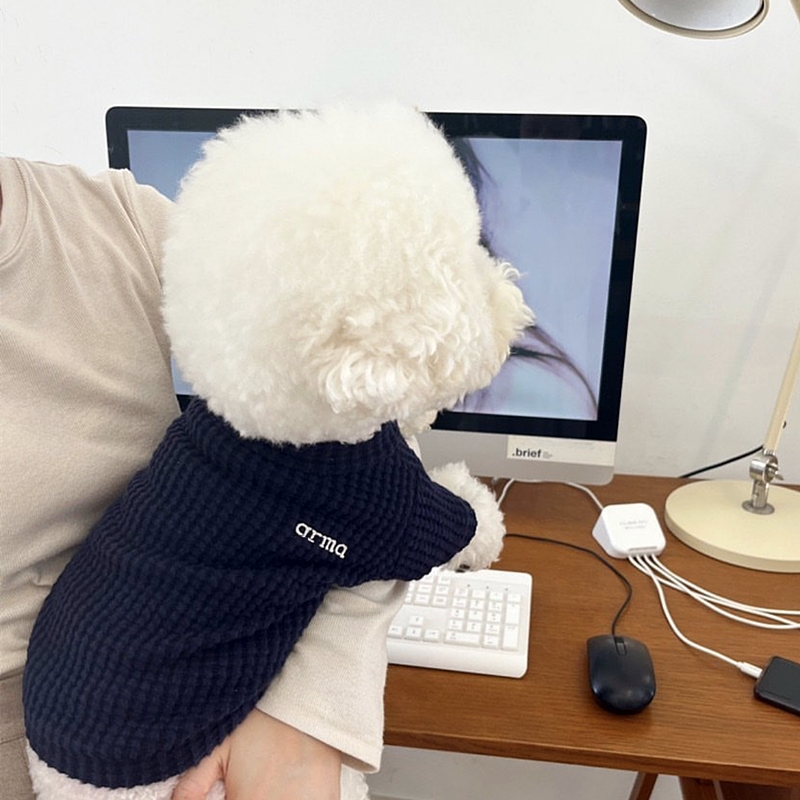Thin Dog Clothes Solid Pet Dog Hoodies Kitten Puppy Undershirts Chihuahua Clothing Yorkie Bichon Vest Dog Costume Shirt: L / GRAY