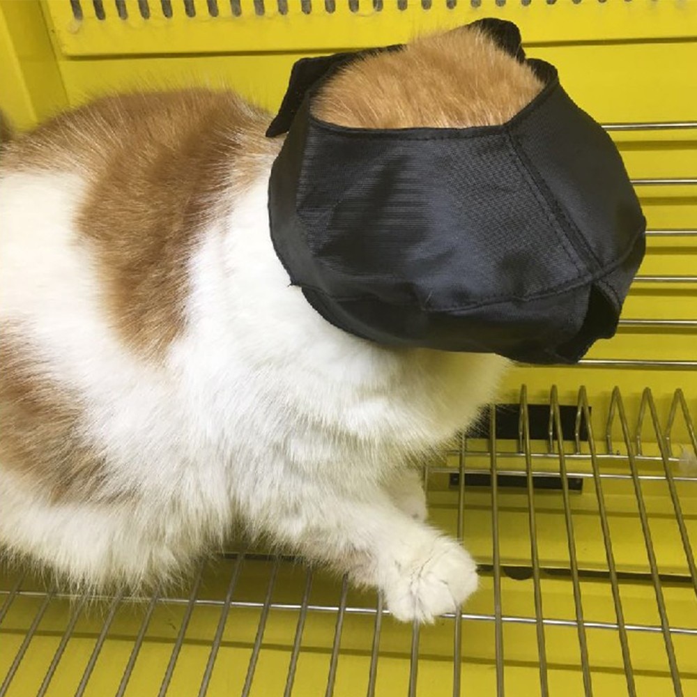 Nylon Katze Maulkorb Anti-Biss Atmungsaktive Katze Maulkorb Masken für Pflegenbad-Massage-bürsten-kamm Schutz Haustier Auge Maske für Katzen Haustier pflege Werkzeuge