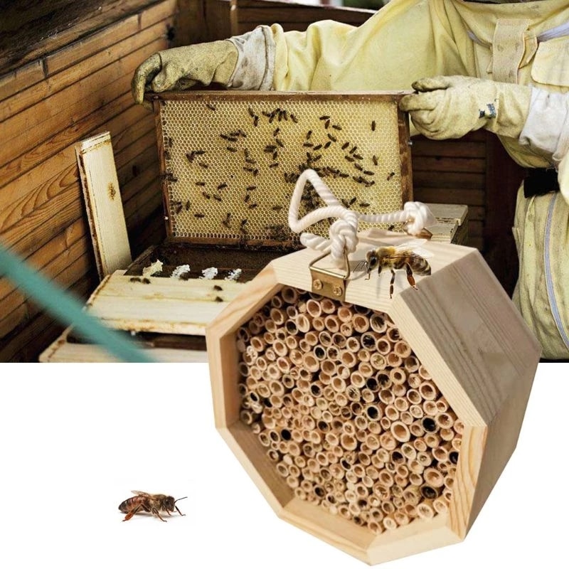 Wooden Insect Bee House Hotel Bee House Hive Habitat for Ladybirds Lacewings Auto Flow Honey Bee Hive Garden Decor Insects Box