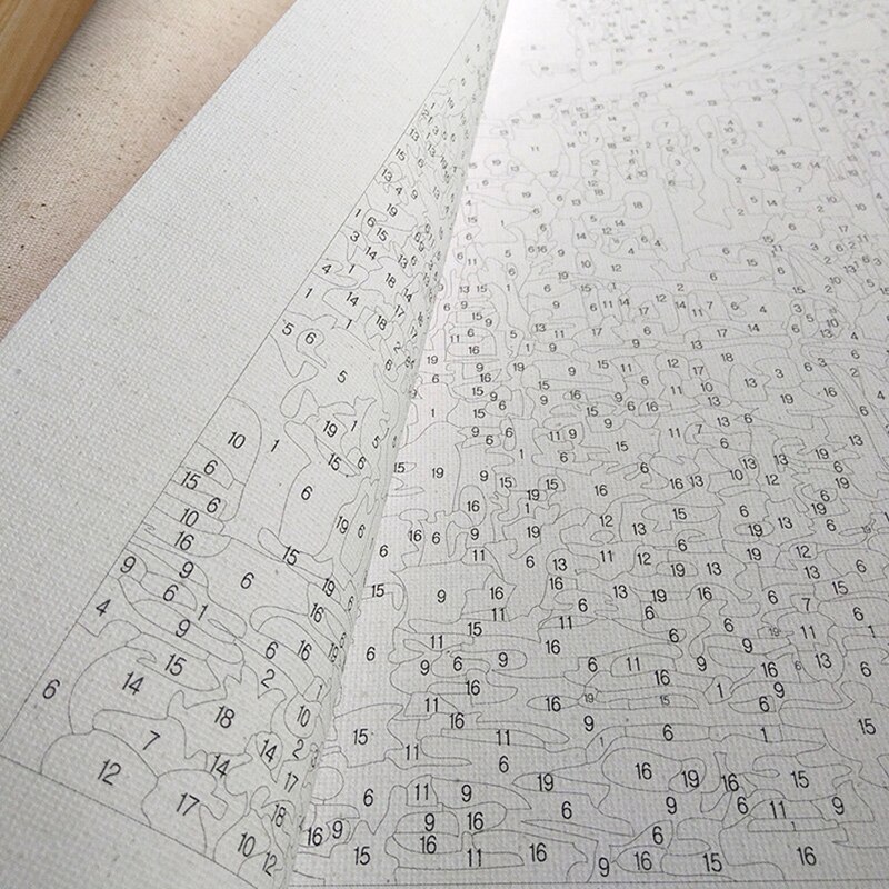 Paint by Numbers for Adult DIY Paint by Number Kits for Kids Beginner on Canvas ENA88