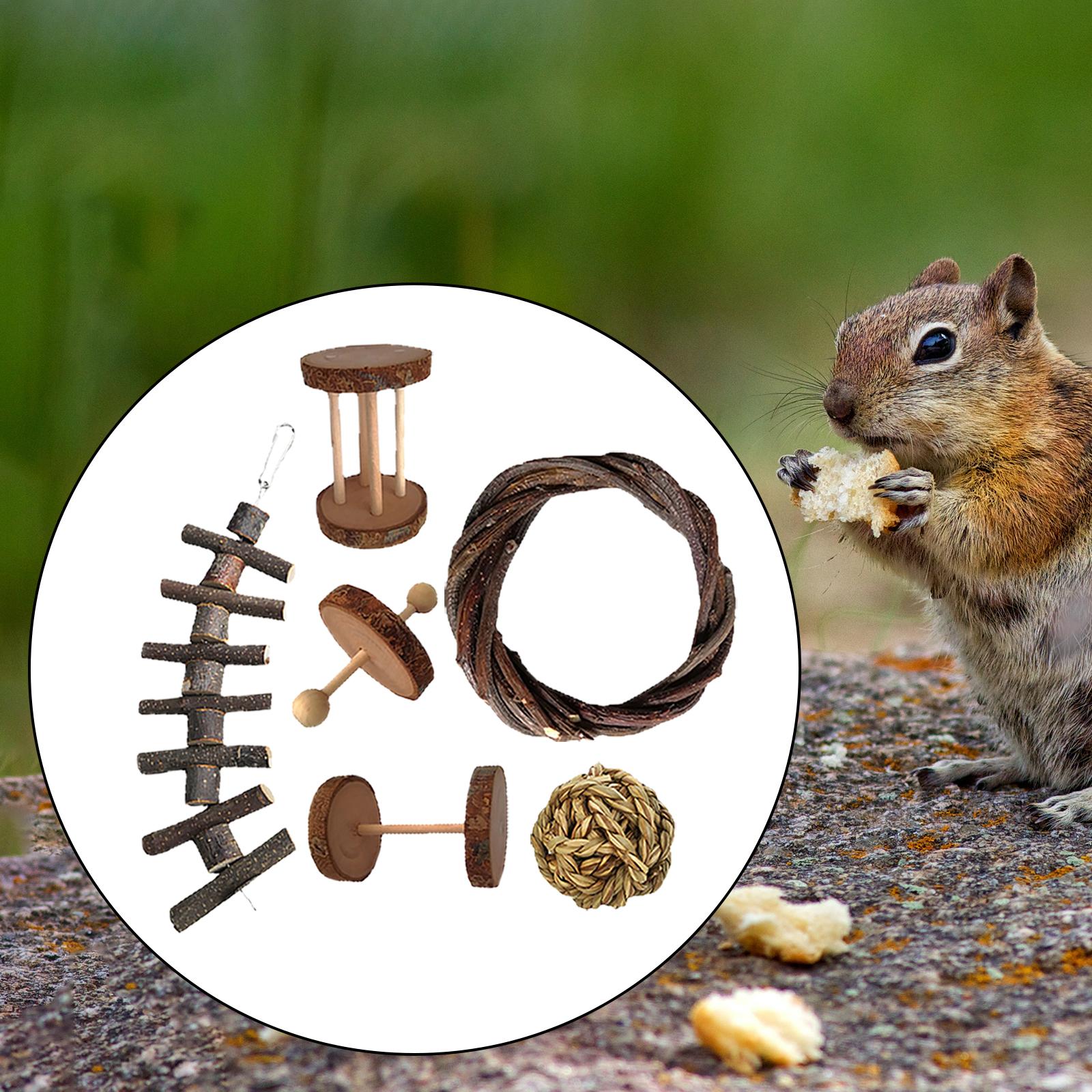 Hamster Rabbit Chew Toys Set Bite Grind Teeth Toys Guinea Pig Toys for Rabbit Rat Bunny Chinchillas Dwarf Hamsters Teeth Care