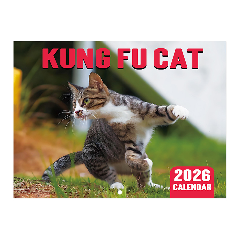 Kung fu-kattekalender,  - 12 morsomme kattebilder, høyt papir, livlige daglige bilder, perfekt for innredning hjemme eller på kontoret.: Default Title