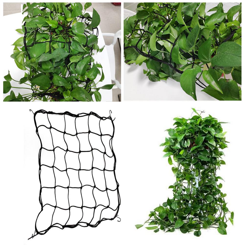 120*240cm Elastic Rubber Growing Tent Garden Trellis Net Support for Vegetable Climbing Vine Plants Garden Flower Plant Netting