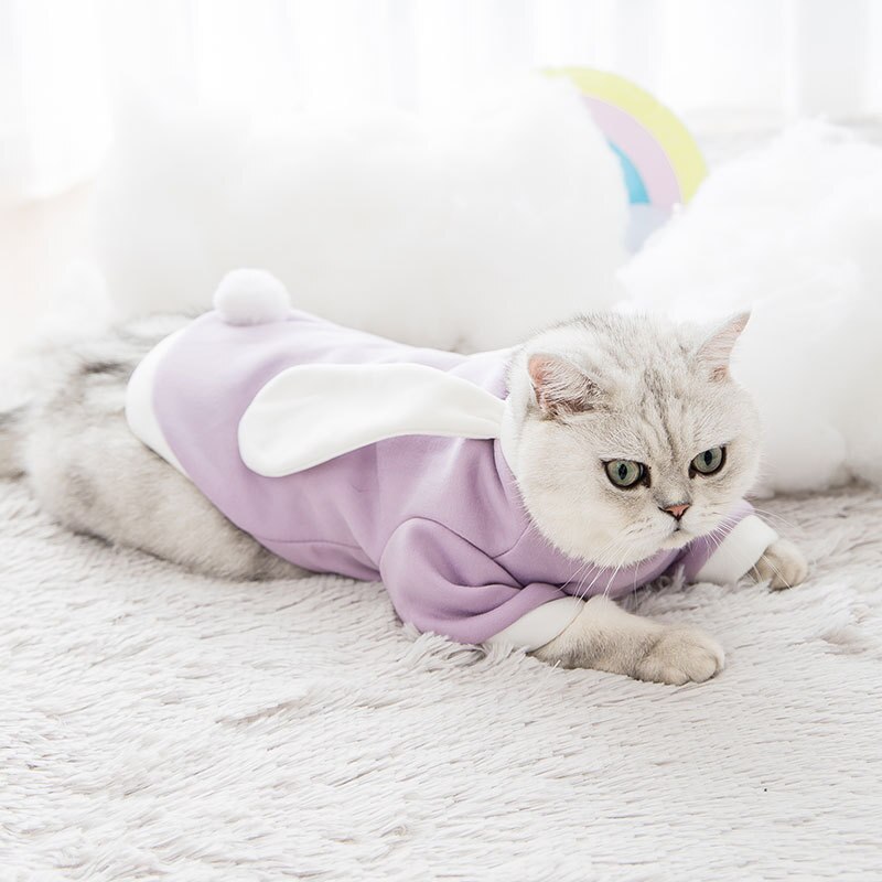 pet clothes cat clothes dog clothes autumn and winter cat and dog sweater cute transform pet clothes