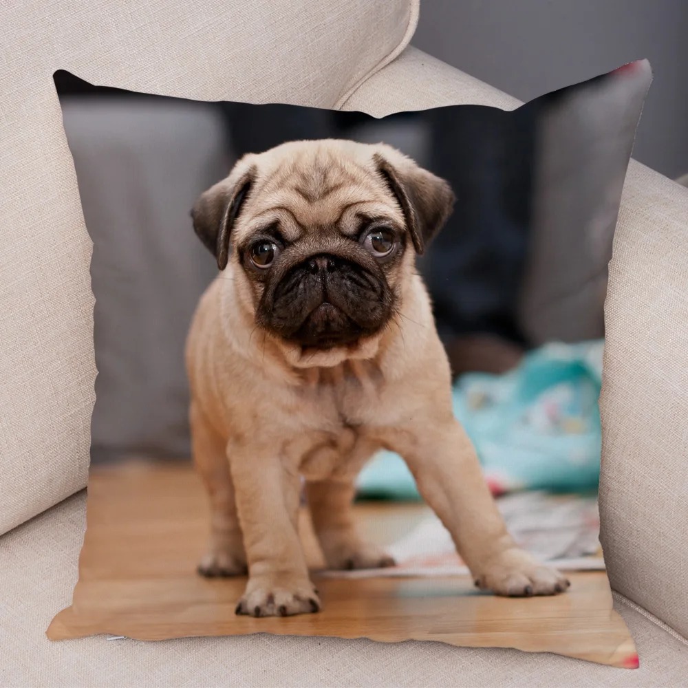 Cute Pug Dog Cushion Cover Both Sided Print Decor Pet Animal Pillowcase for Car Sofa Home Car Soft Plush Throw Pillow Case