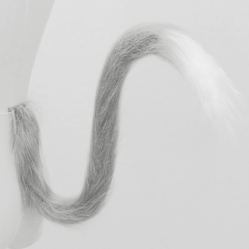 Peluche longue Flexible pour queue chat, accessoires déguisement pour adultes enfants, Cosplay