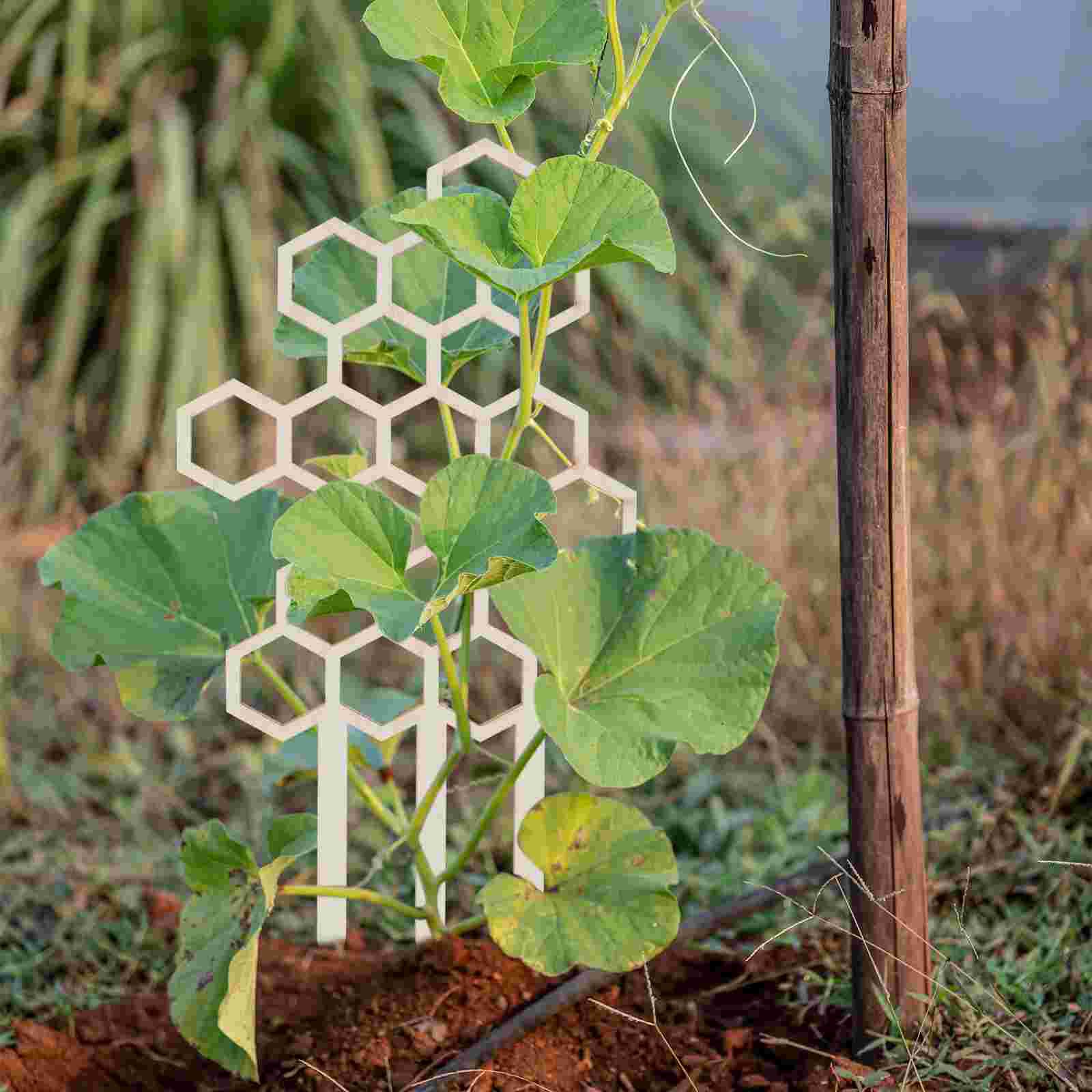 3pcs Plant Climbing Supports Rack Plant Trellis Garden Supplies Climbing Plants Trellis