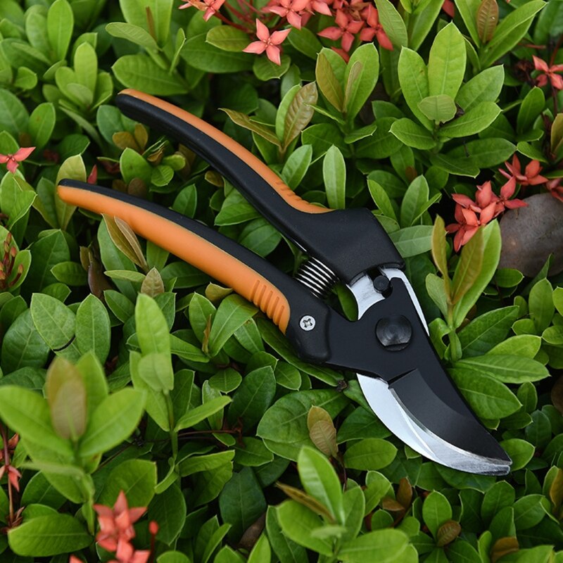 SK5 Plant Trim Horticulture Hand Pruner Cut Secateur Shrub Garden Scissor Tool Anvil Branch Shear Orchard Pruning Shears