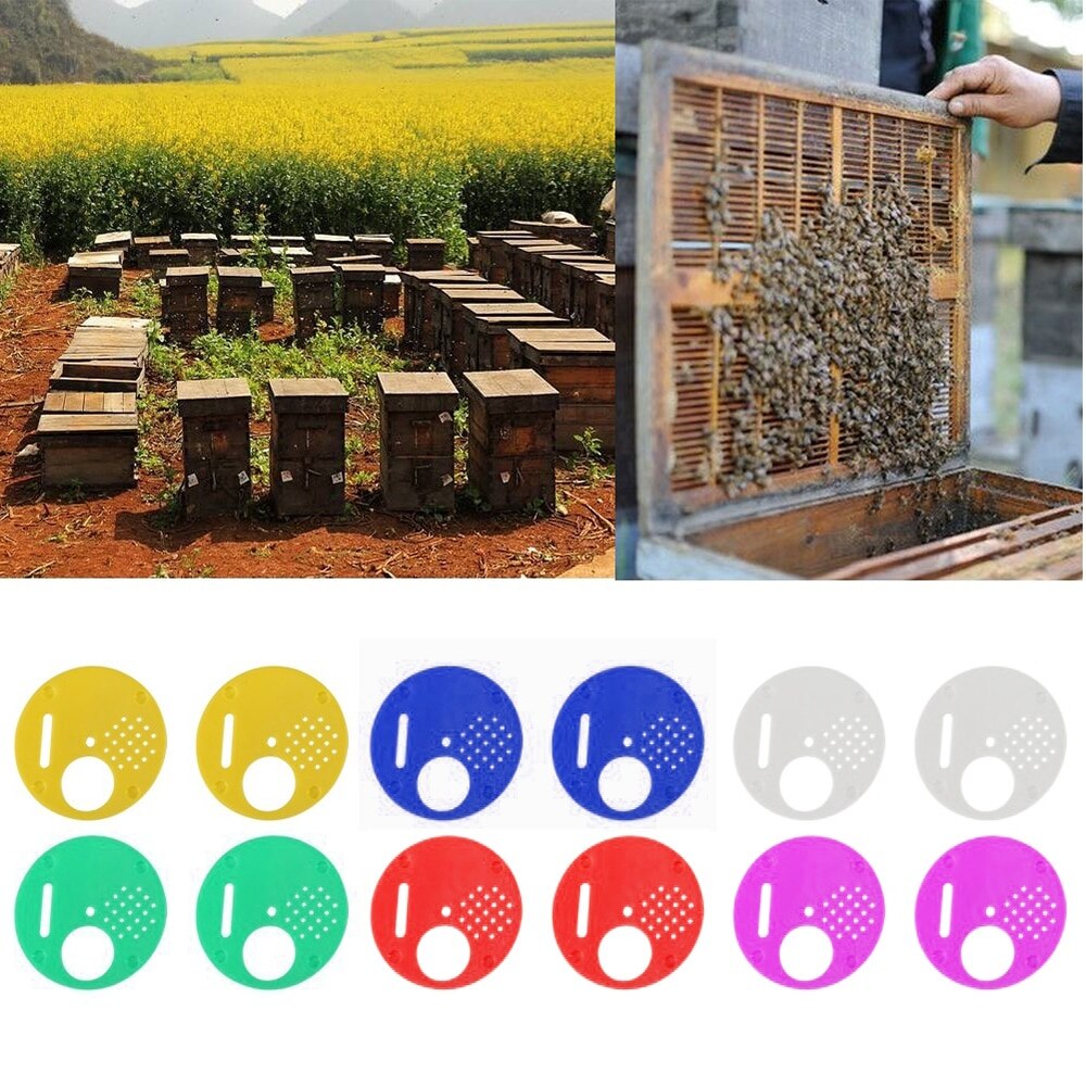 12pcs Bee Hive Box Entrance Gate Disc Plastic Bee Nest Door Honeycomb Entrance Gate Beekeeping Tool Equipment Nest Tools Supplie: 12pcs Mix