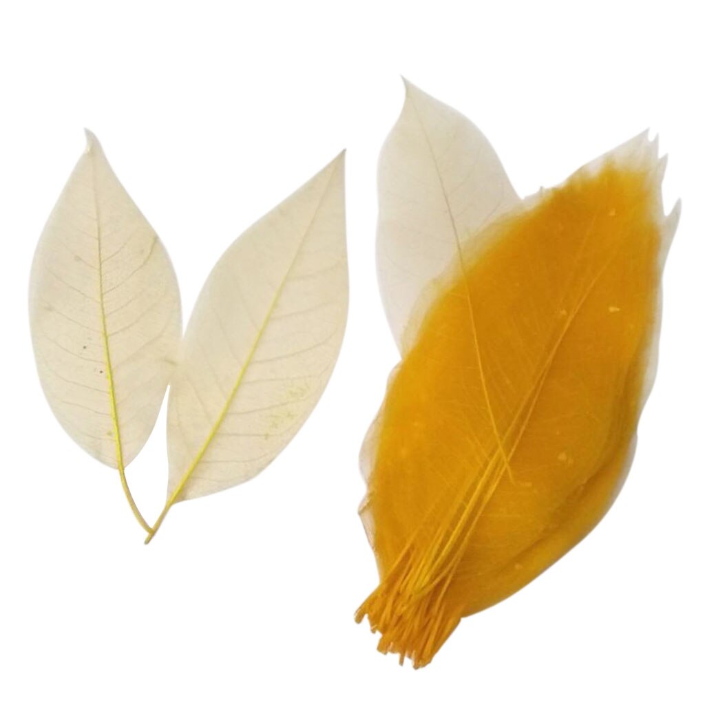 100x Magnolia Leaf Decoration Wedding Party Supply DIY Crafts Accessory