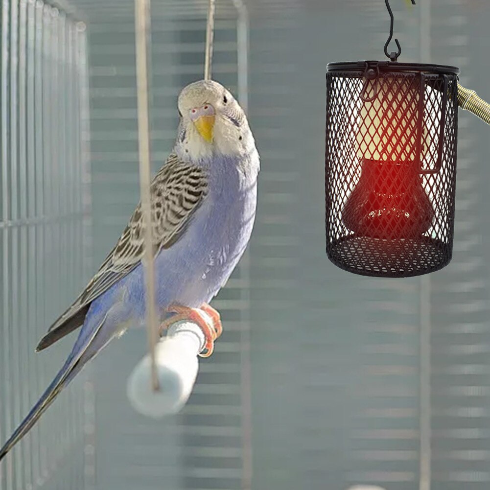 50/100W Haustier Heizung Lampe Haustier KäFeige Wärme Emitter Haustier Koop Heizung Bausatz Haustiere Grübler Wärme Glühbirne für VöGel Hühner Reptilien