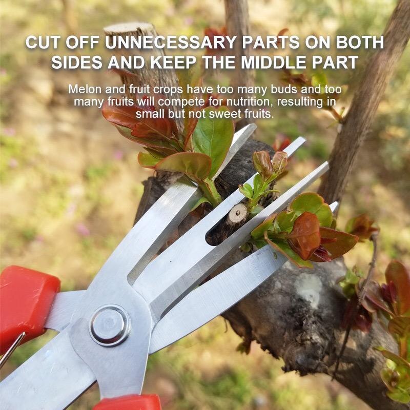 Double-edged Fruit Picking Scissors Garden Pruner Shears Citrus Tree Flower Cultivating Solid Snip
