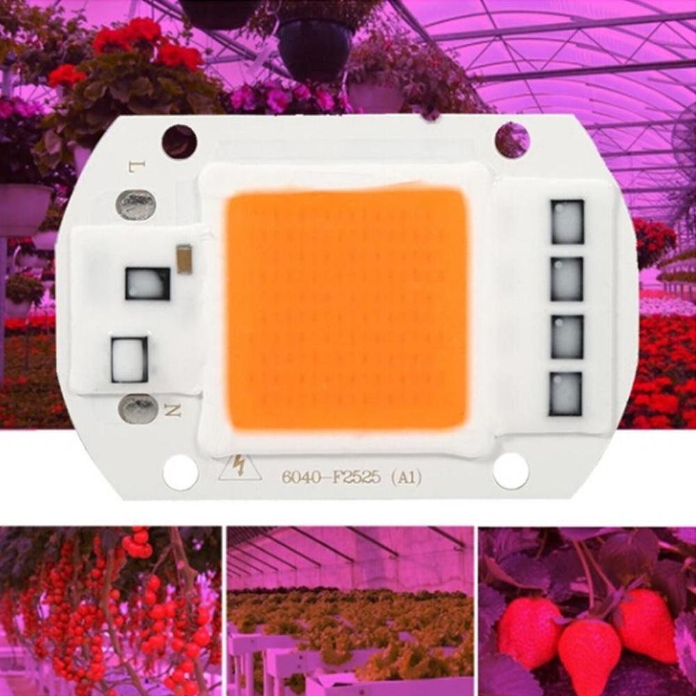 Lampe horticole de croissance LED COB, spectre complet, pour culture intérieure de plantes, semis et floraison, ac 110/220V, 20/30/50W